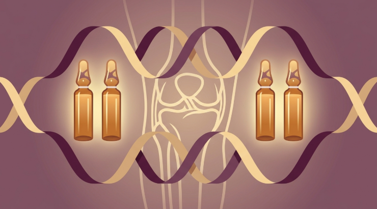 Where to Buy KPV Peptide Safely